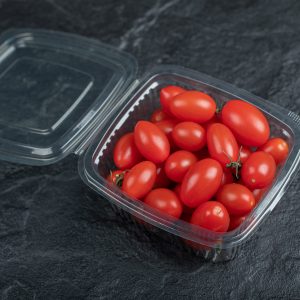 Пластичен сад